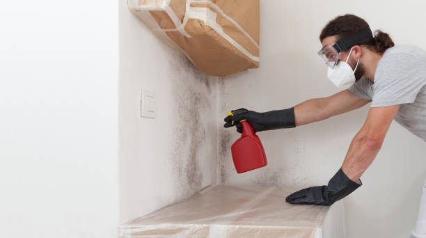 Professional Bathroom Mold Removal technician working in Benzonia, MI