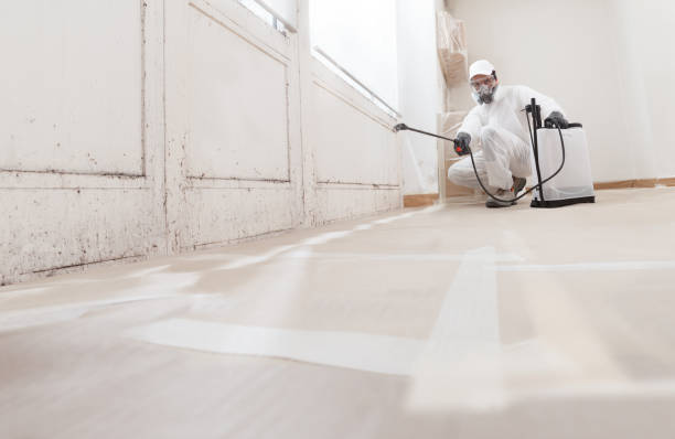 24/7 Emergency Bathroom Mold Removal experts in Benzonia, MI